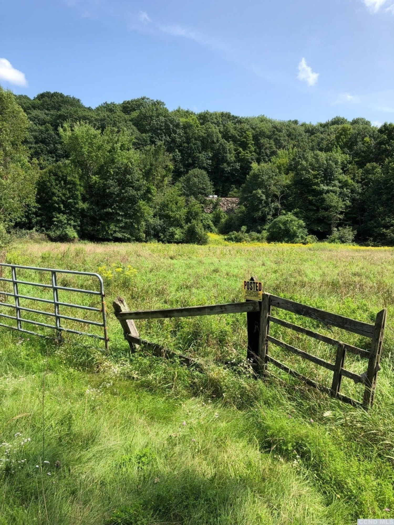 67 River Road Chatham, NY 12037 - Photo 1 of 9 Photo 1