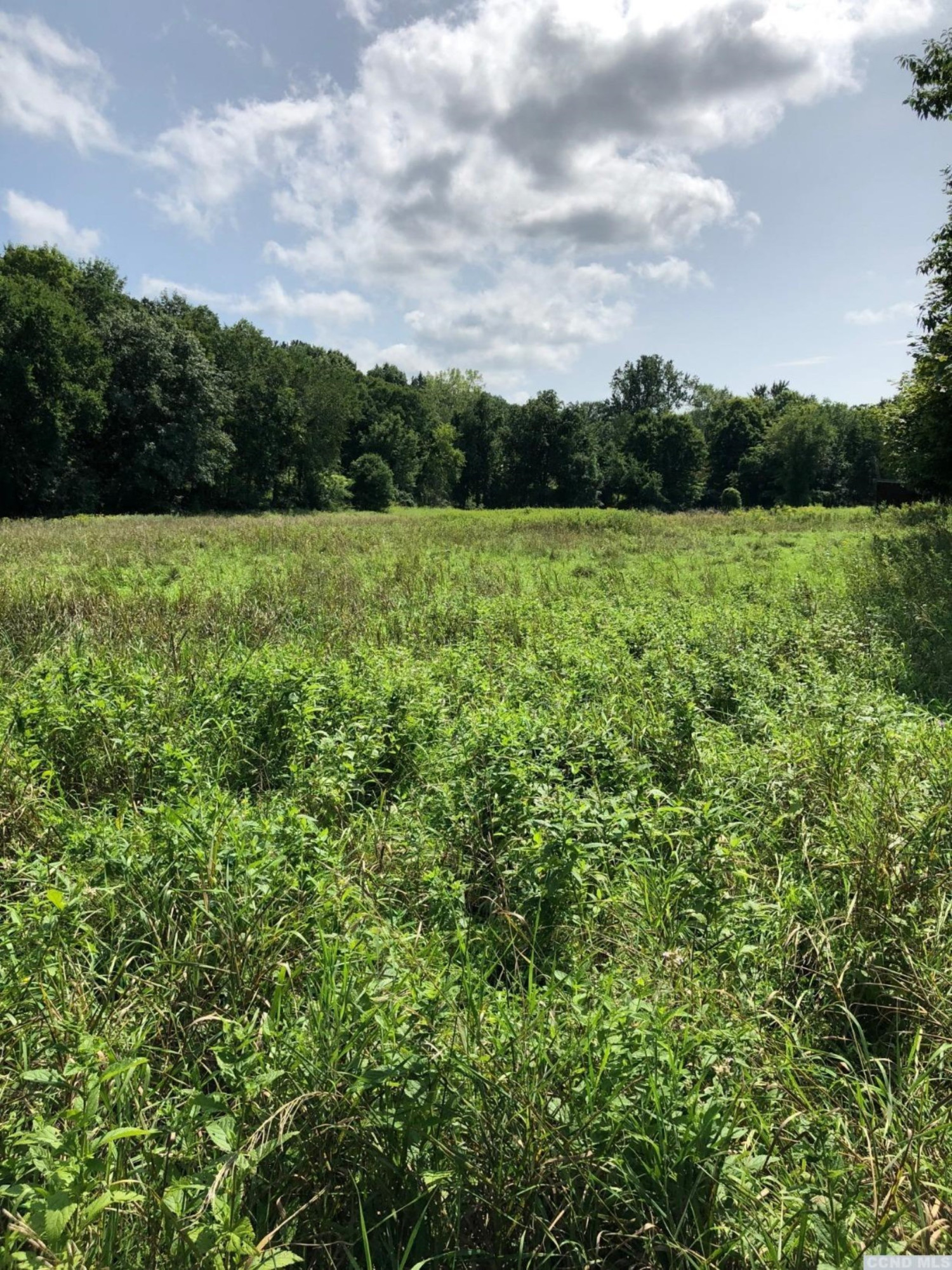 67 River Road Chatham, NY 12037 - Photo 2 of 9 Photo 2