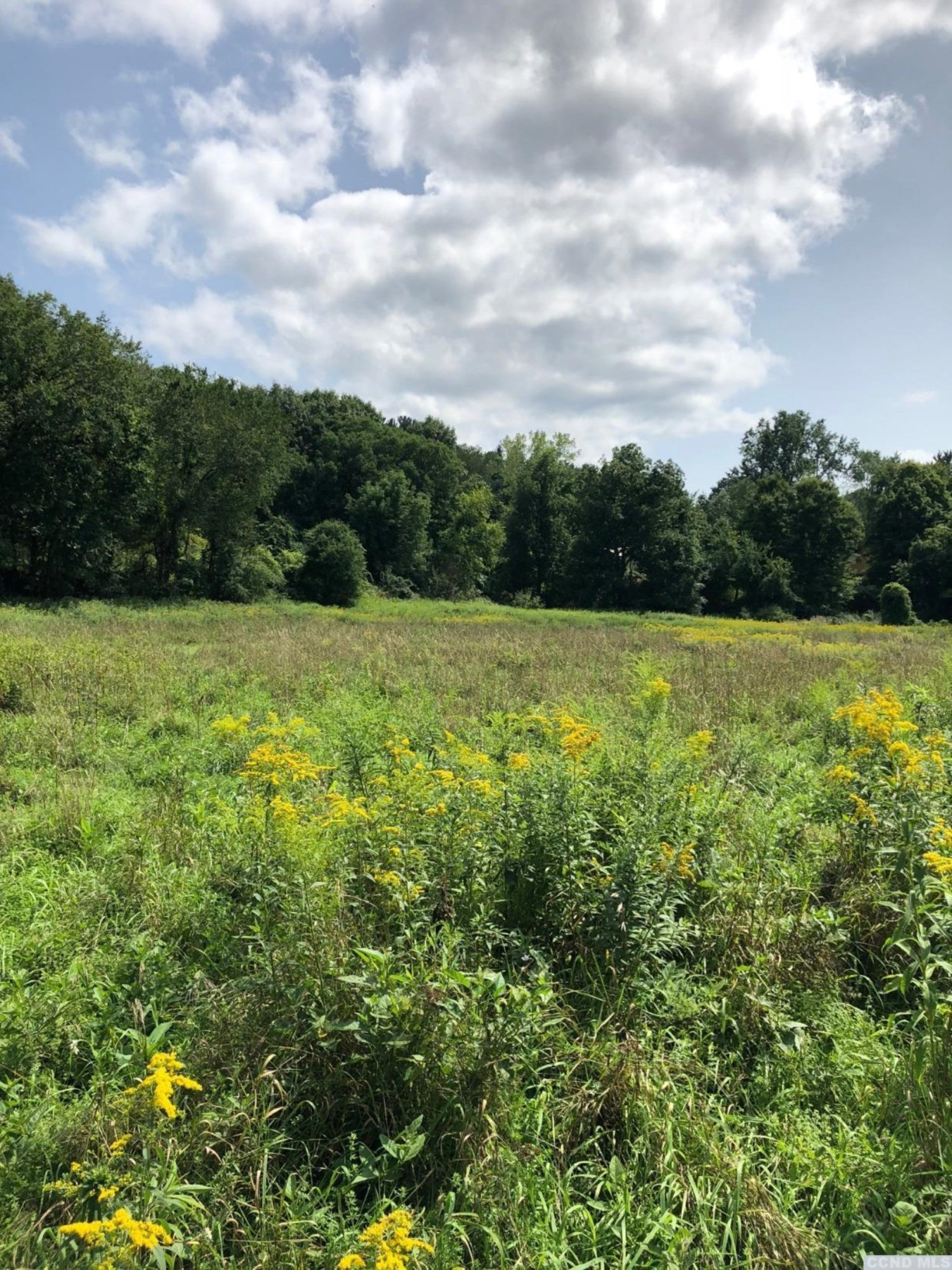67 River Road Chatham, NY 12037 - Photo 5 of 9 Photo 5