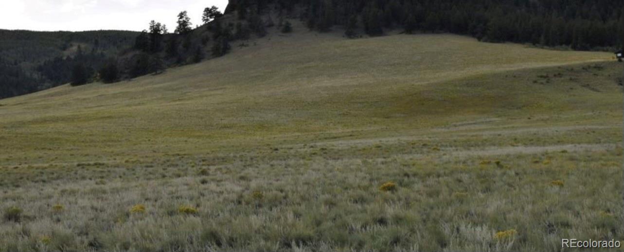 5123 Bar D Road Fairplay, CO 80440 - Photo 2 of 4 a view of a dry yard