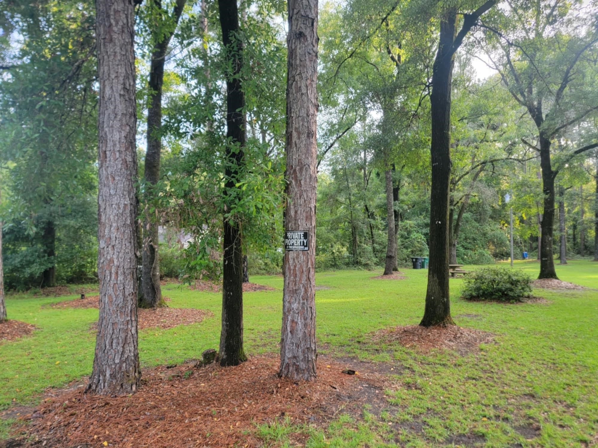 8840 Celia Road Tallahassee, FL 32305 - Photo 3 of 33