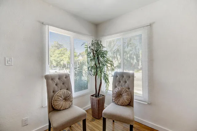 a living room with furniture and a potted plant
