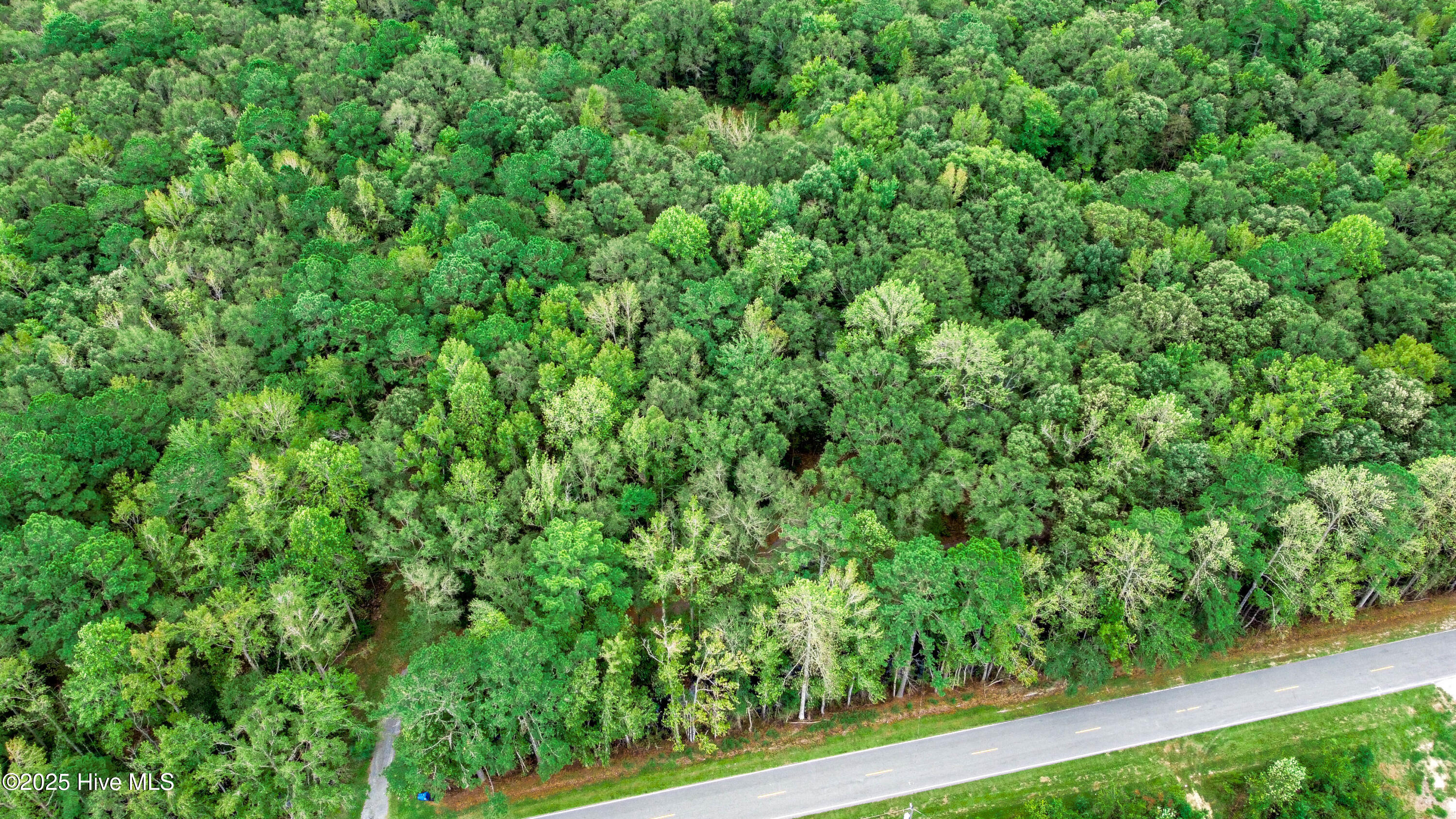 283 South Fork Creek Road Columbia, NC 27925 - Photo 28 of 35 DJI_0898-HDR