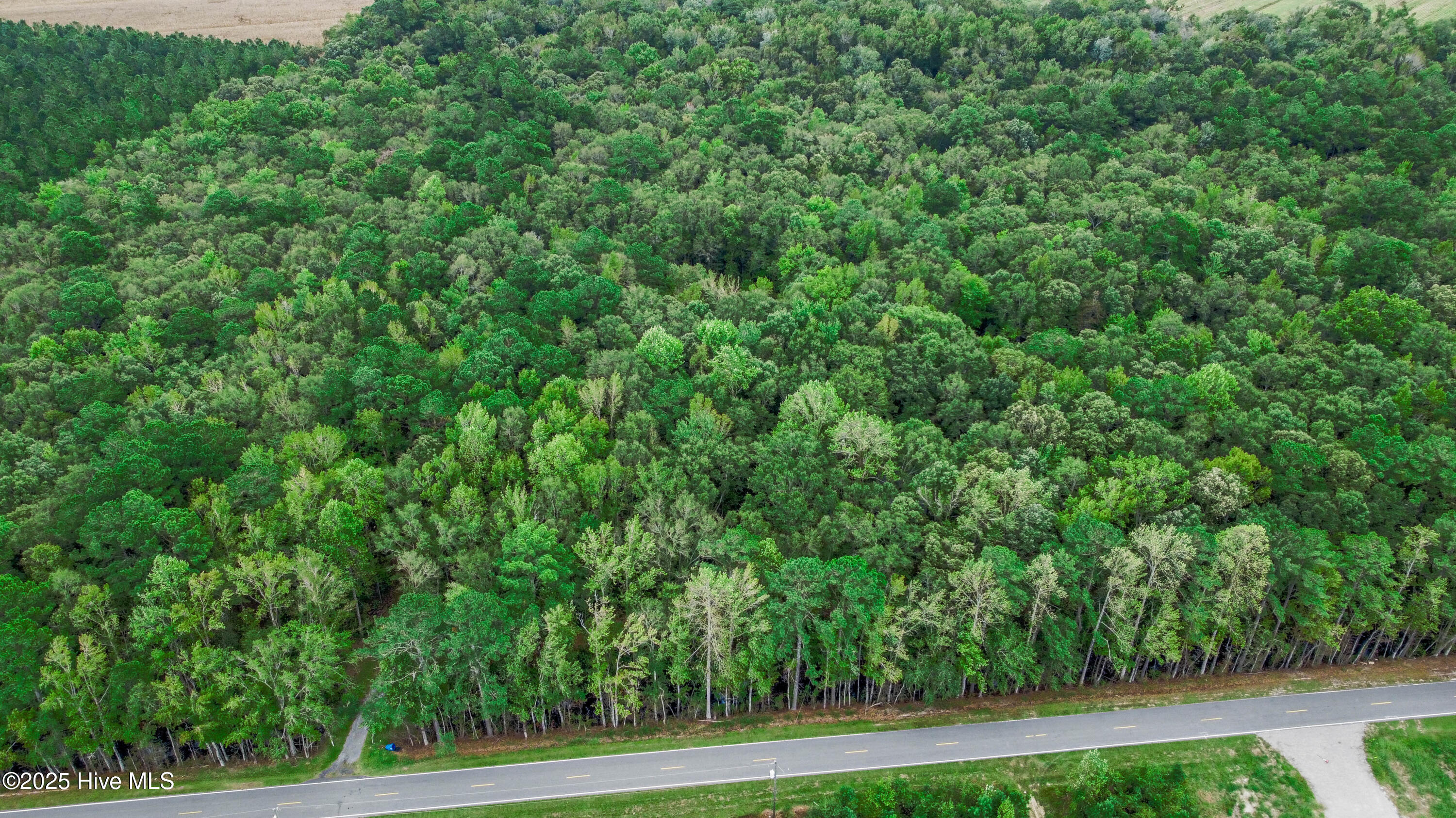 283 South Fork Creek Road Columbia, NC 27925 - Photo 29 of 35 DJI_0901-HDR