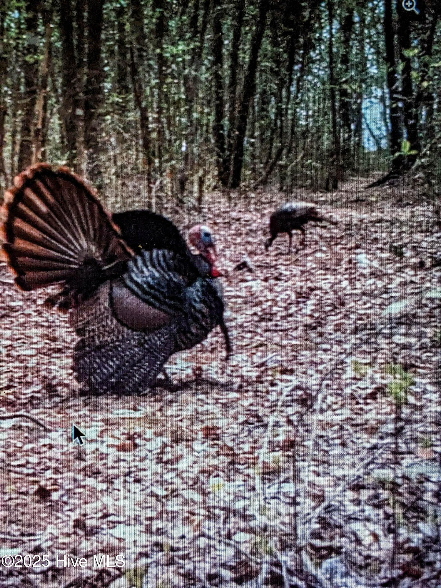 283 South Fork Creek Road Columbia, NC 27925 - Photo 35 of 35 6682315245100534274