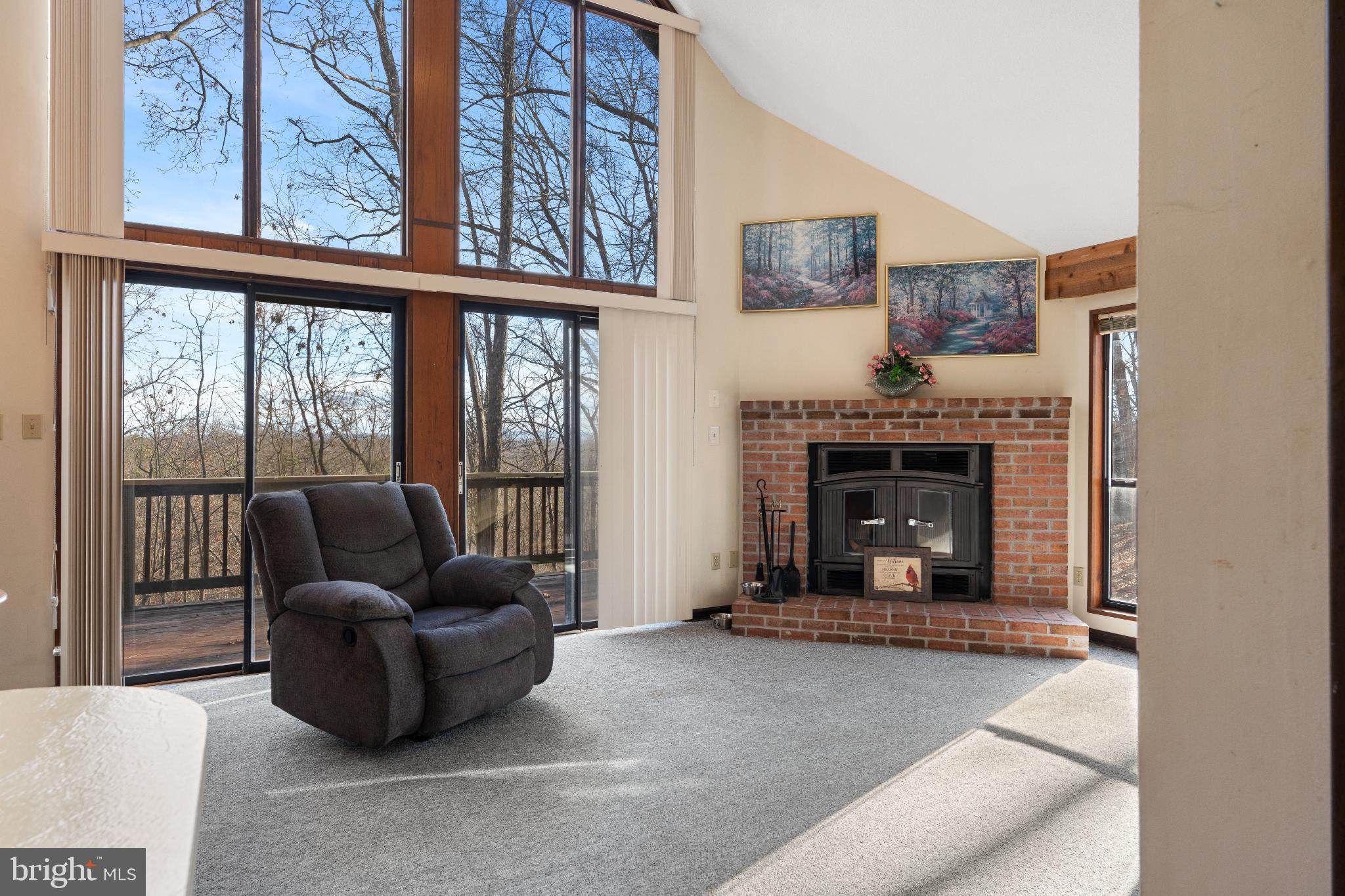 277 Endless Summer Road Hedgesville, WV 25427 - Photo 11 of 33 a living room with furniture a flat screen tv and a fireplace