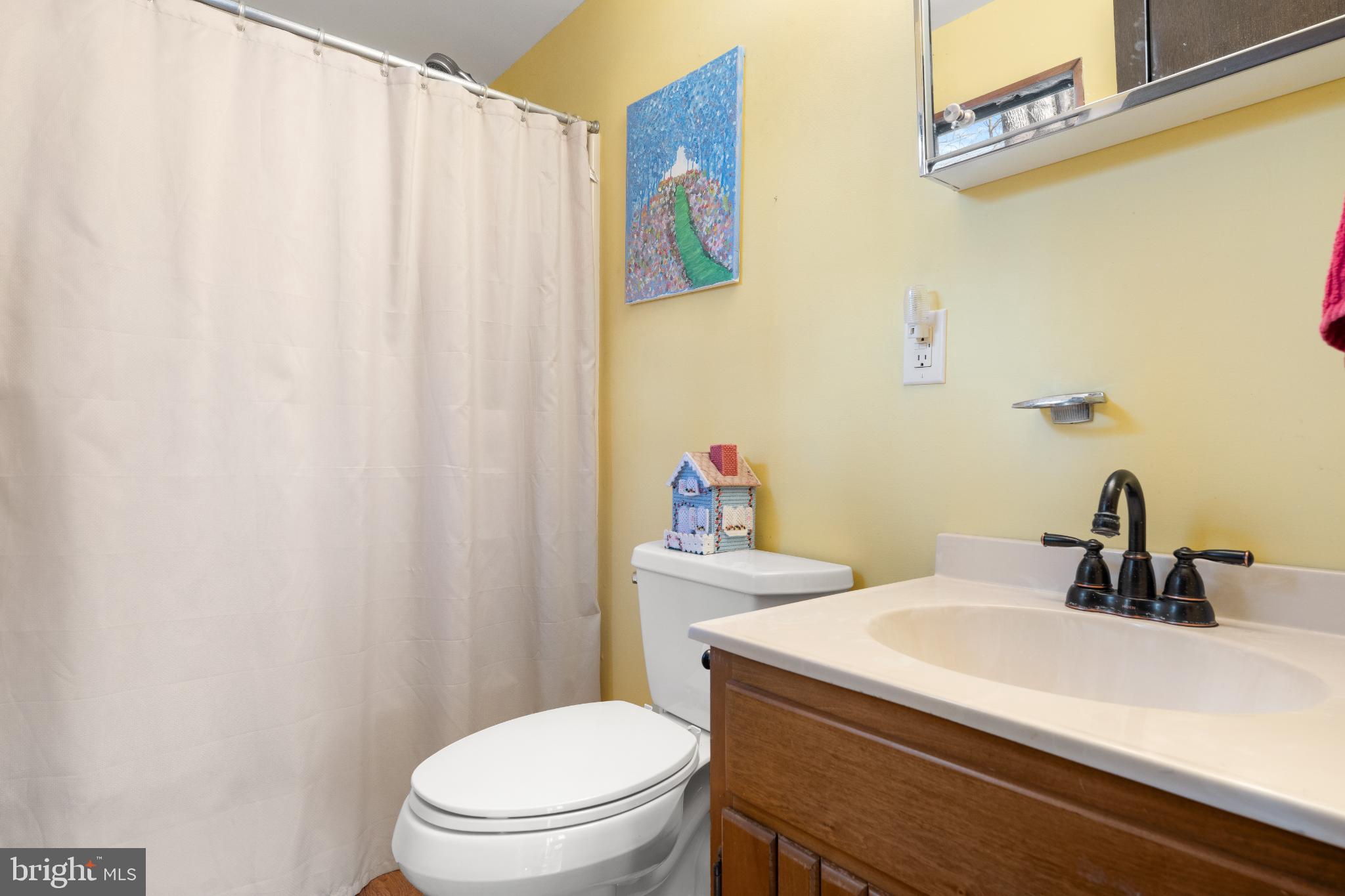 277 Endless Summer Road Hedgesville, WV 25427 - Photo 22 of 33 a bathroom with a sink a toilet and a mirror