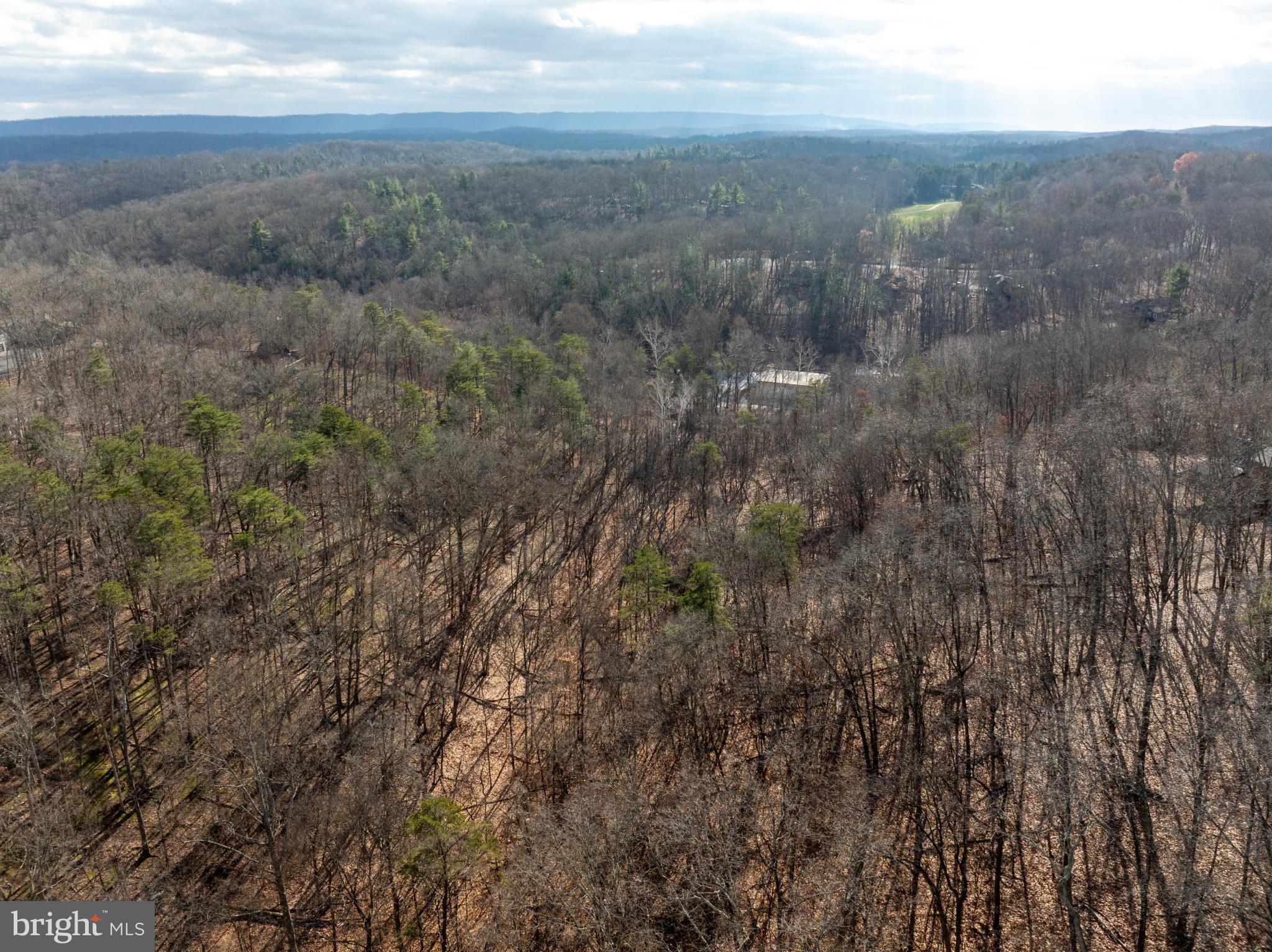277 Endless Summer Road Hedgesville, WV 25427 - Photo 26 of 33 a view of a yard of a building