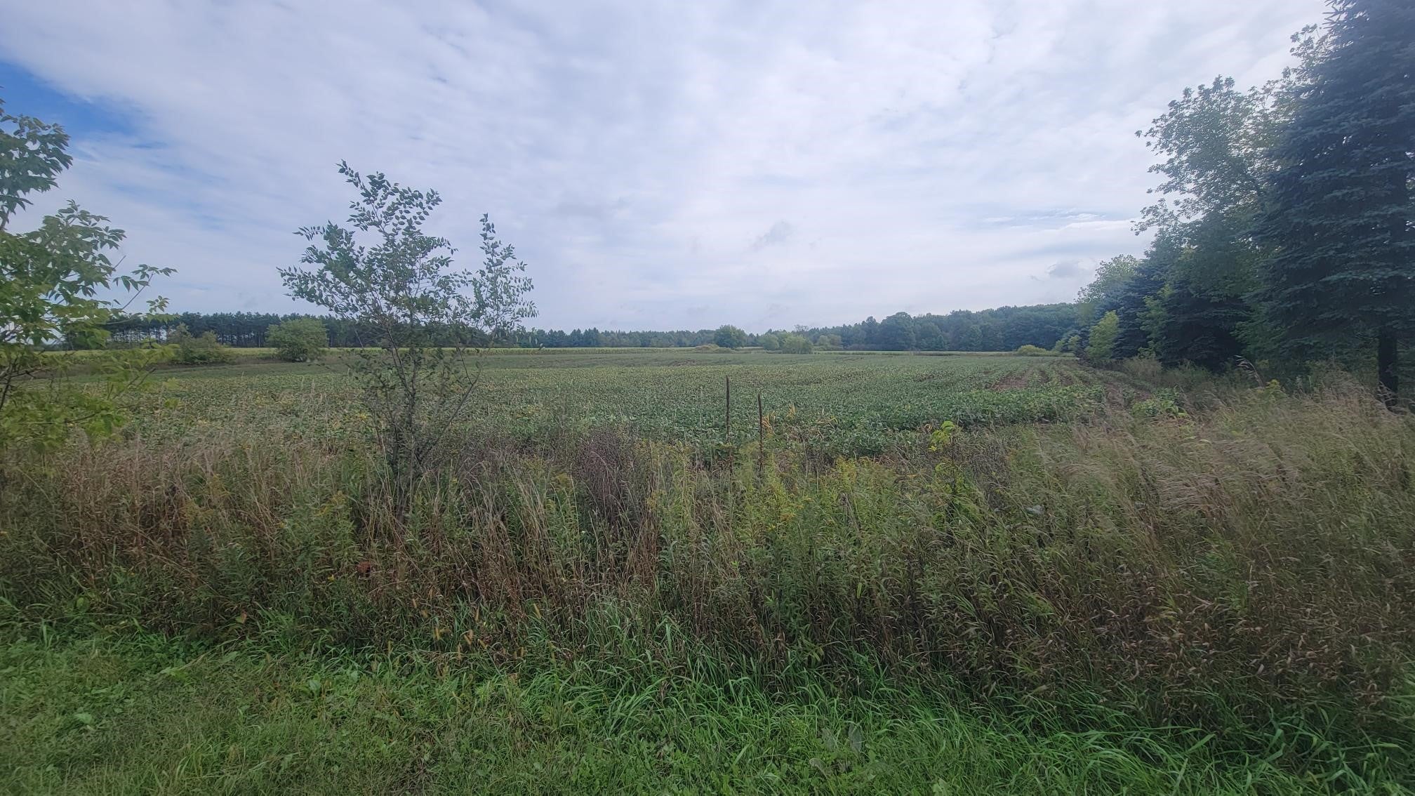 3585 Highway 49 Rosholt, WI 54473 - Photo 18 of 33 Gallery Image 18