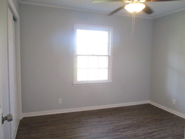 477 Ed Lindsey Road Lenox, GA 31637 - Photo 13 of 21 Gallery Image 13