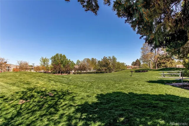 a view of a field with a tree in the background