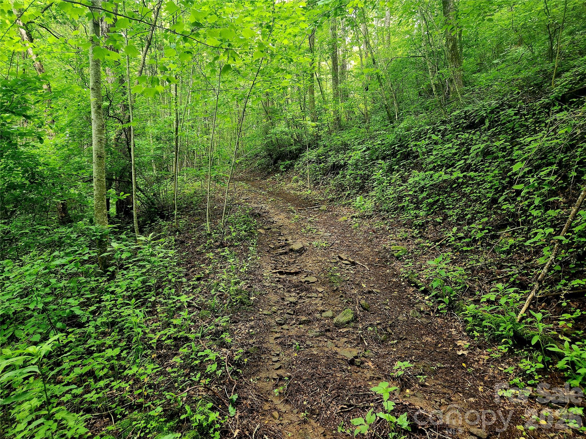 0 Brasstown Road Cullowhee, NC 28723 - Photo 33 of 37 Gallery Image 33
