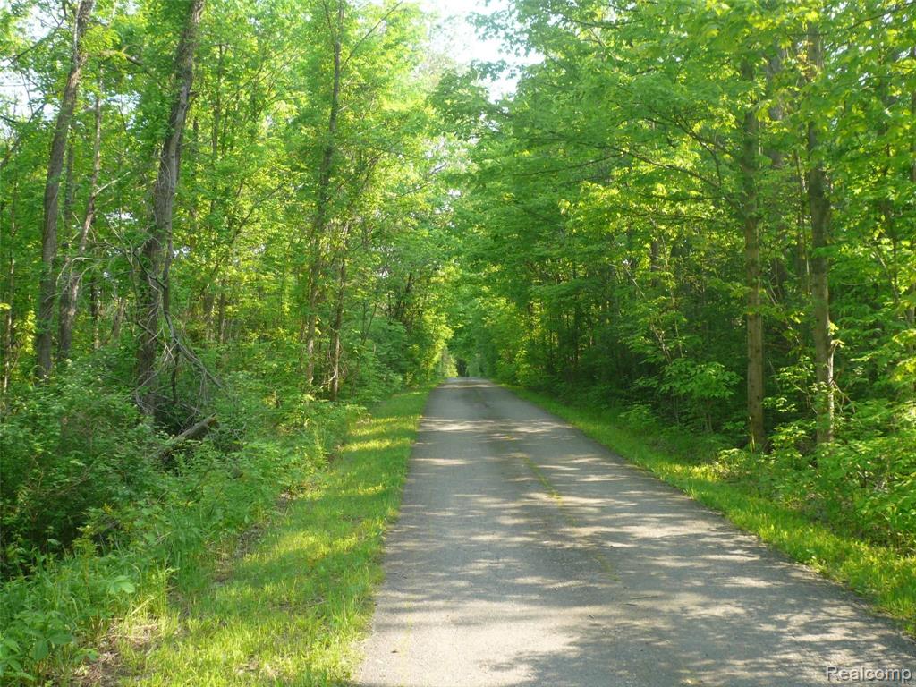 0 East Romeo Road Oakland, MI 48363 - Photo 2 of 18