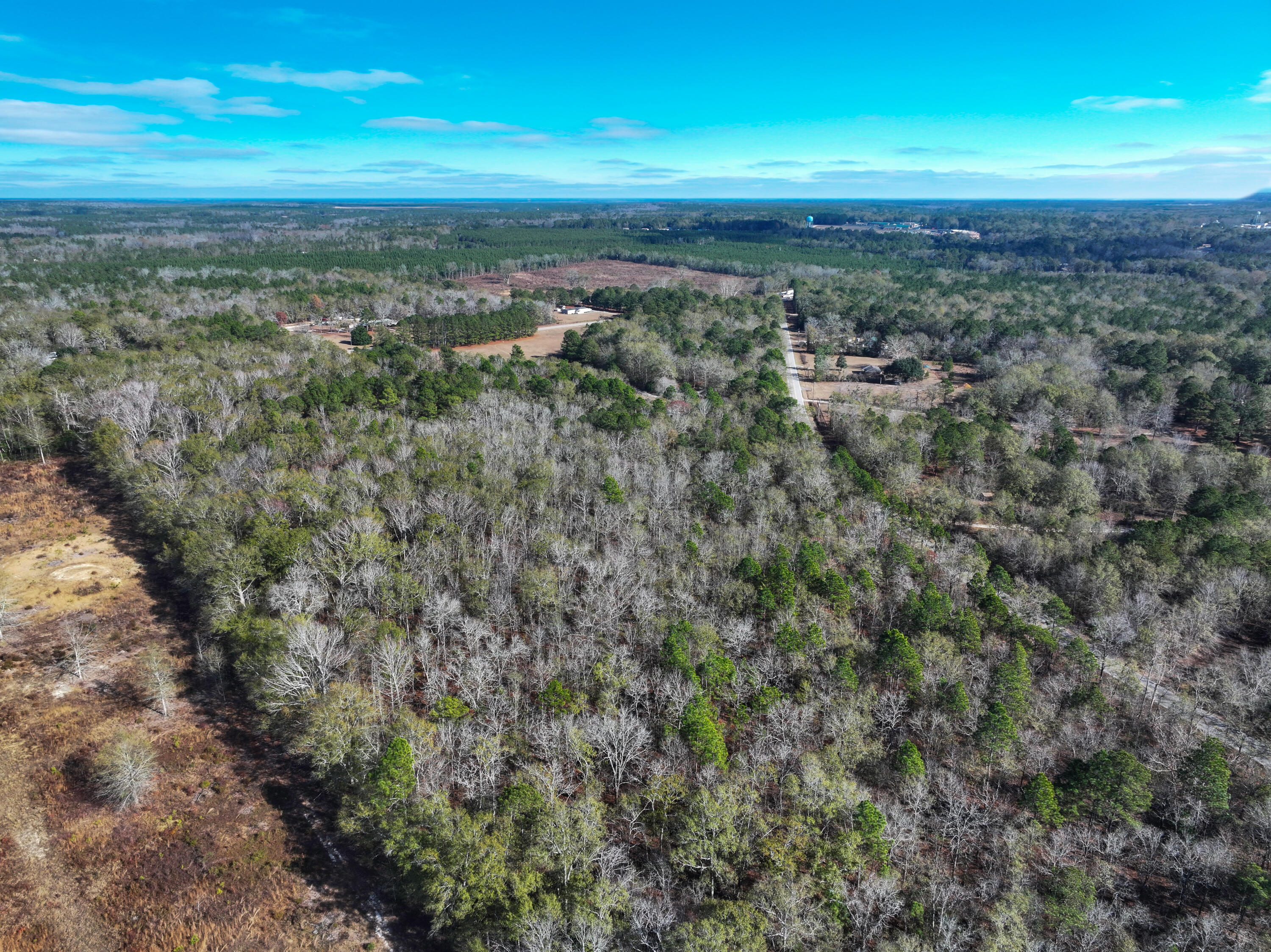 0 Camp Rawls Road Wagener, SC 29164 - Photo 8 of 17 Gallery Image 8