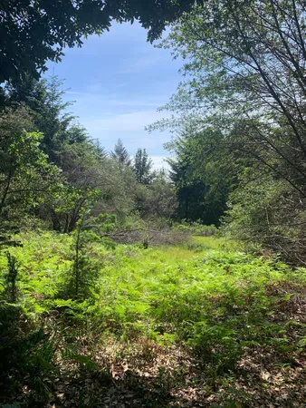 $65,000 | 454-476 Forest Road, Shelter Cove, CA 95589