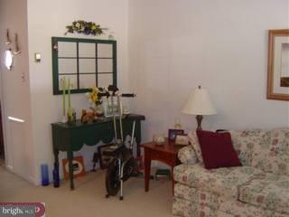 2706 Cranston Road Philadelphia, PA 19131 - Photo 4 of 6