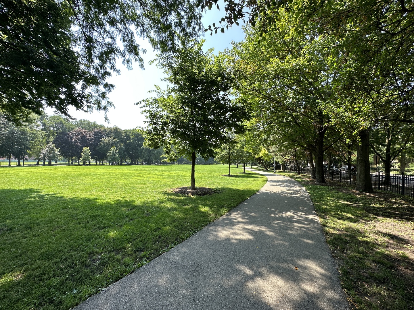 1033 West Taylor Street, Unit 3E Chicago, IL 60607 - Photo 20 of 22 a view of a park with large trees