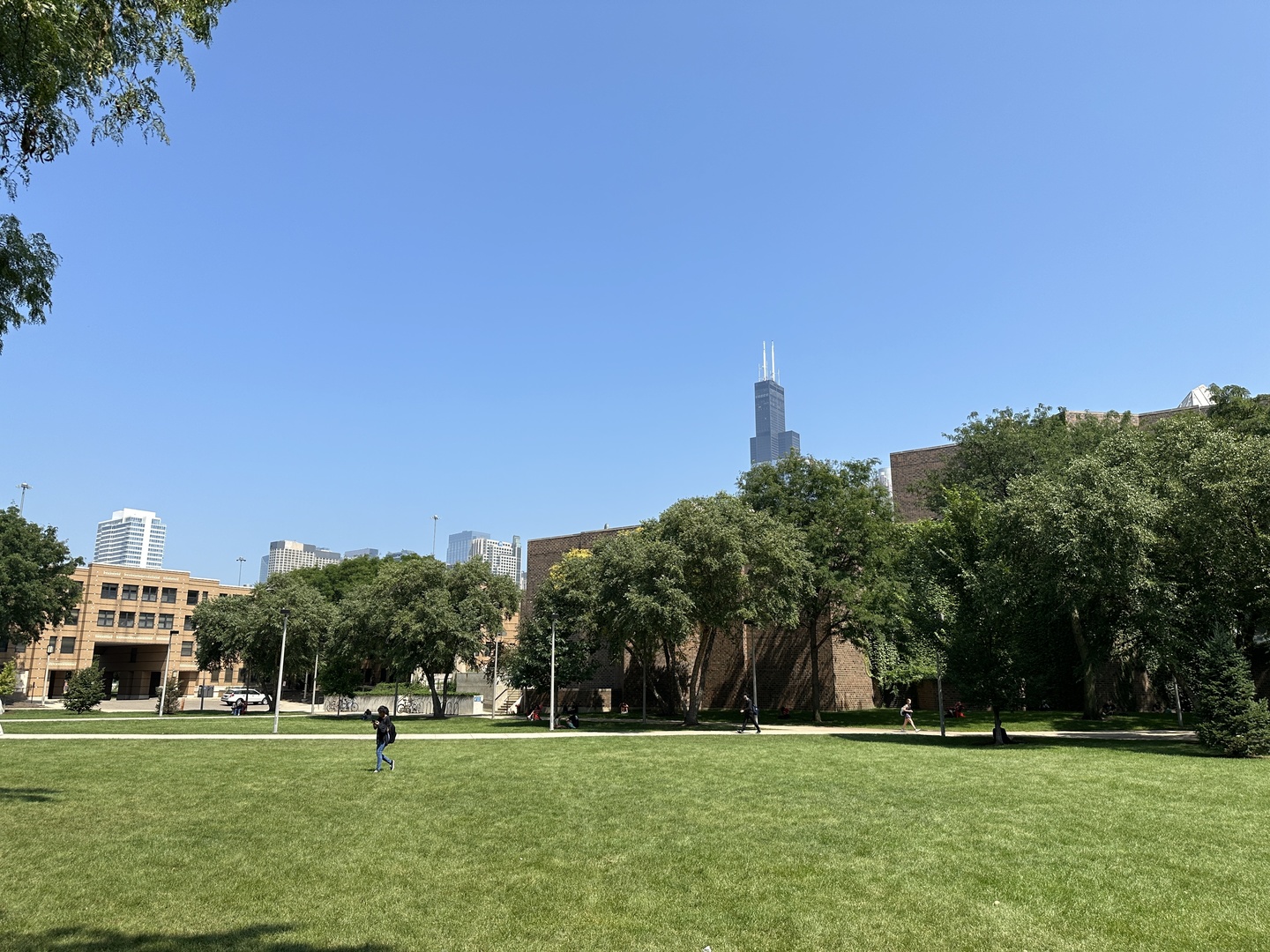 1033 West Taylor Street, Unit 3E Chicago, IL 60607 - Photo 22 of 22 a view of building with trees in the background