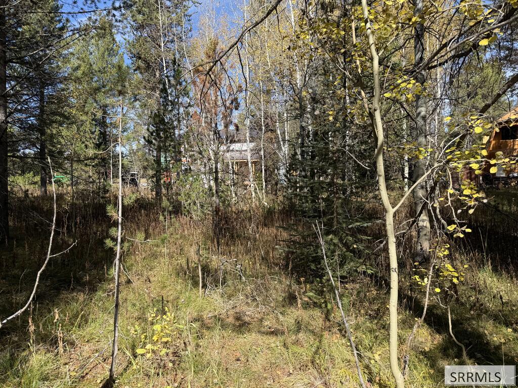 Tbd Beaver Road Island Park, ID 83429 - Photo 4 of 13 Gallery Image 4