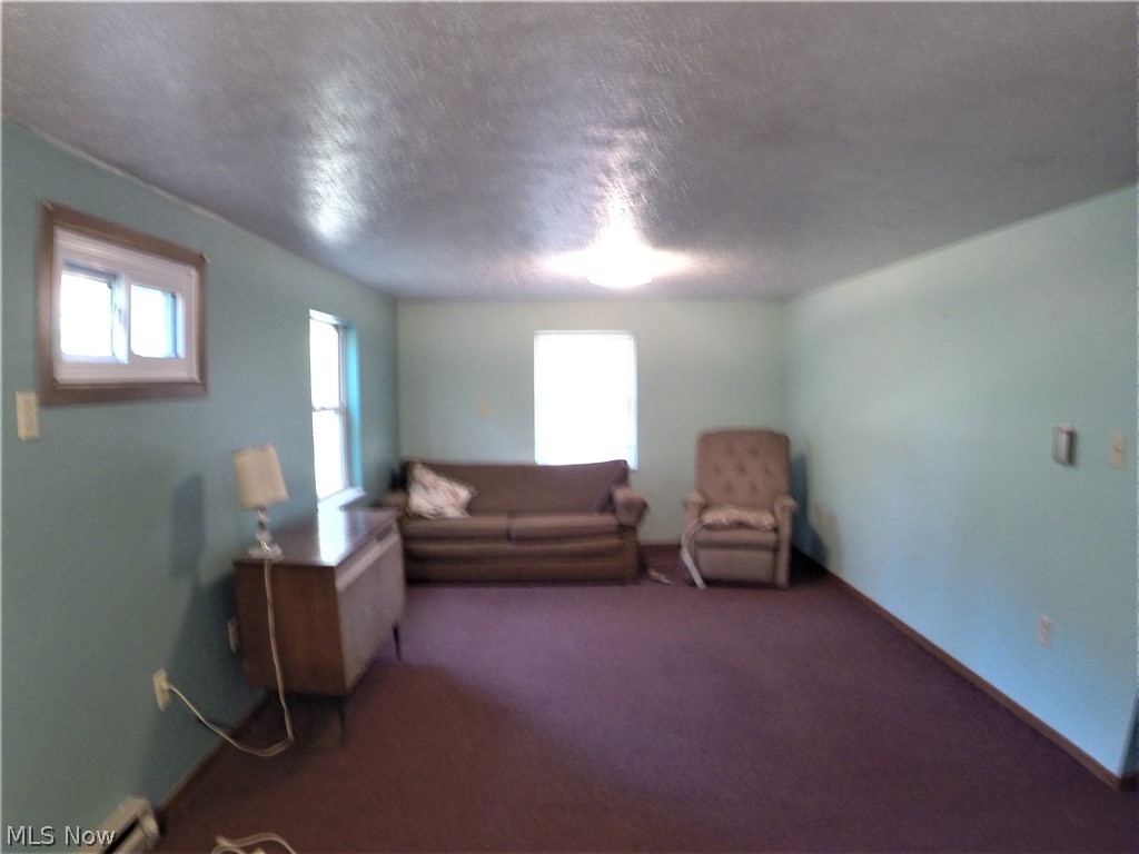 5649 Lockwood Road Madison, OH 44057 - Photo 9 of 31 Gallery Image 9