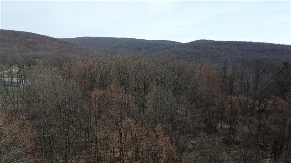 a view of a mountain