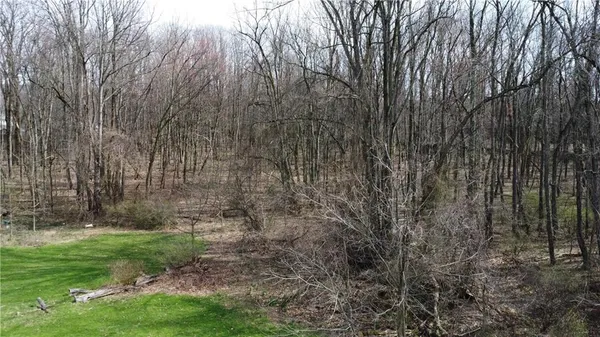 a view of a yard with large trees