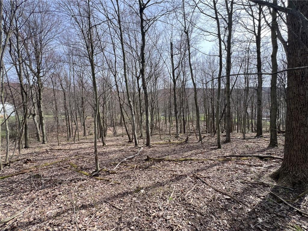 222 Hopwood Coolspring Road Hopwood, PA 15445 - Photo 3 of 12 a backyard of a house with lots of green space