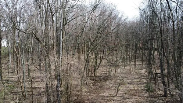 a view of a yard with wooden fence and large trees