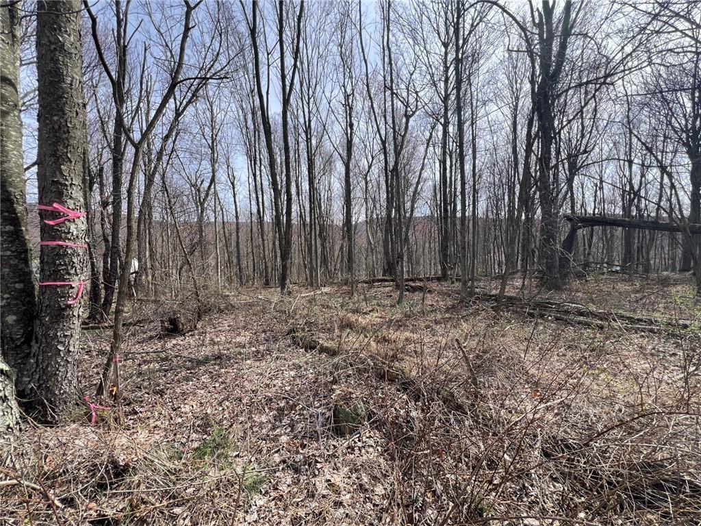 222 Hopwood Coolspring Road Hopwood, PA 15445 - Photo 6 of 12 a view of backyard with tree