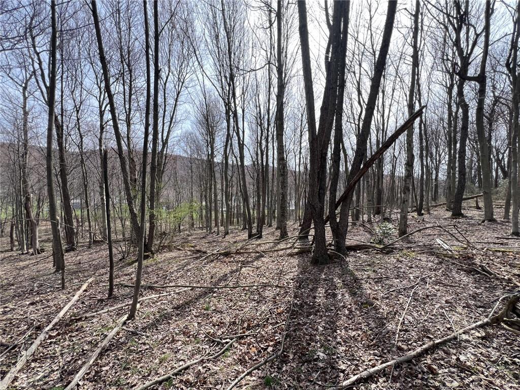 222 Hopwood Coolspring Road Hopwood, PA 15445 - Photo 7 of 12 a backyard of a house with lots of green space