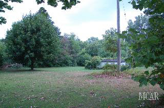 13117 Todd Road Ida, MI 48140 - Photo 18 of 20 949495-17.JPG