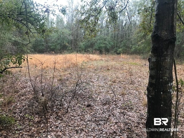 23588 Old Weekley Road Bay Minette, AL 36507 - Photo 1 of 30 Great Home Site