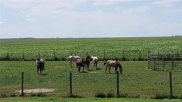 a view of outdoor space