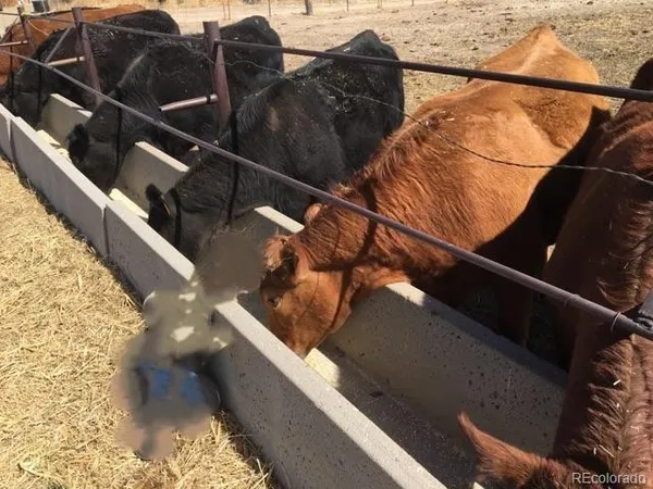a view of a wooden door
