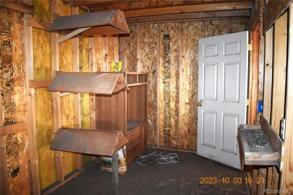 a view of a garden with plants