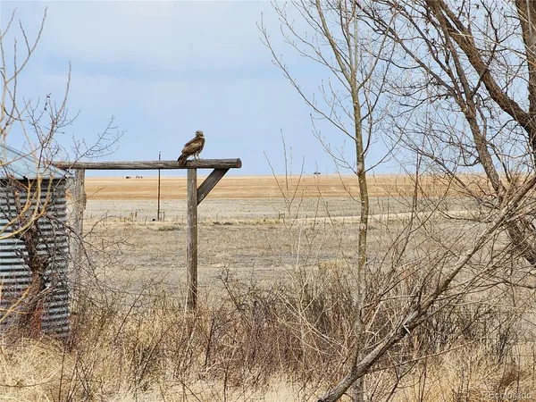 $769,000 | 50416 County Road 22, Ramah, CO 80832