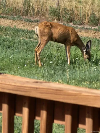 $769,000 | 50416 County Road 22, Ramah, CO 80832