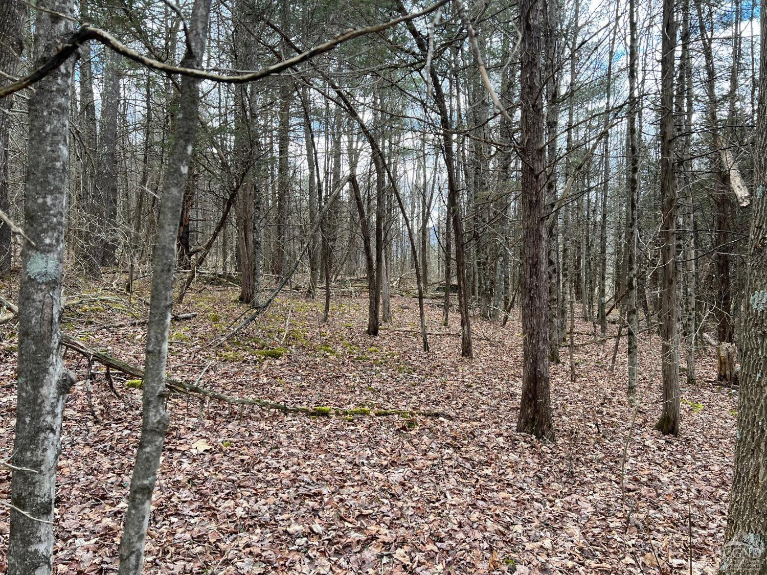 0 Route 23a Road Prattsville, NY 12468 - Photo 14 of 18 Photo 13