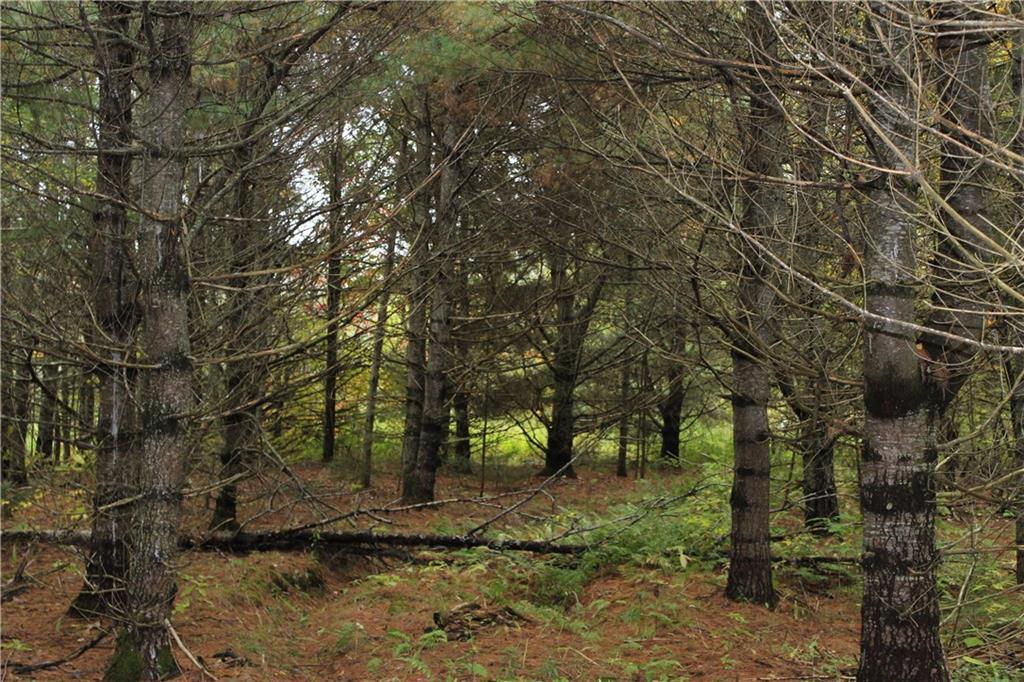 906 Hudson Hill Road Hudson, ME 04449 - Photo 1 of 10 Photo