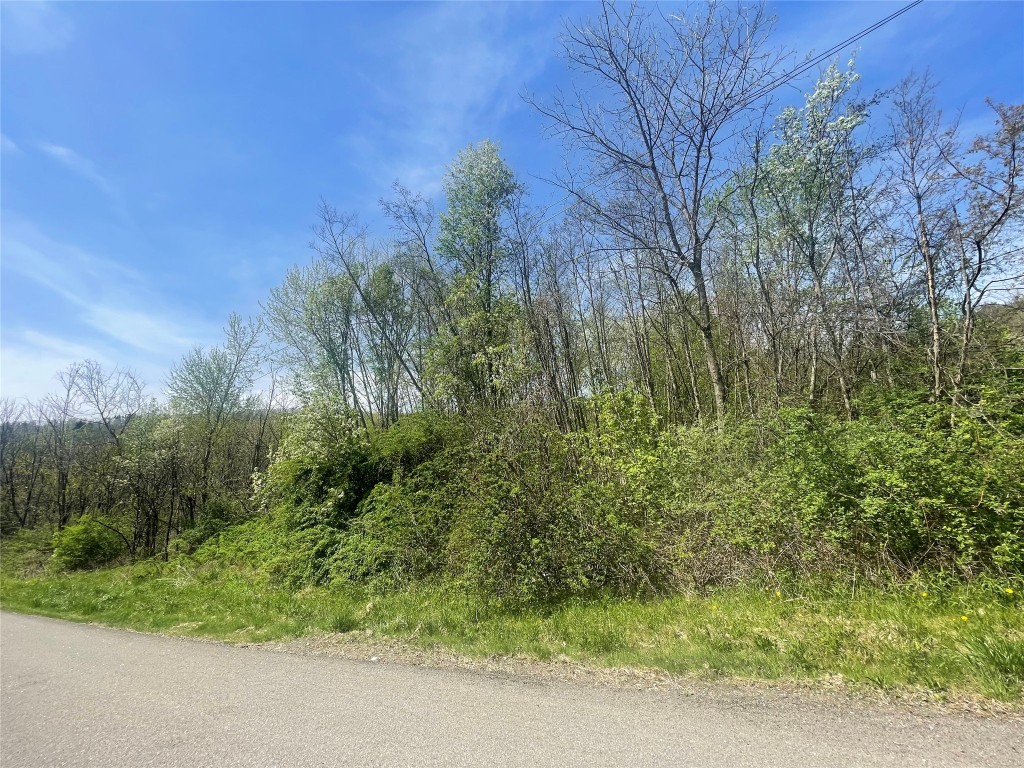445 Miller Beach Road Owego, NY 13827 - Photo 1 of 11 Gallery Image 1