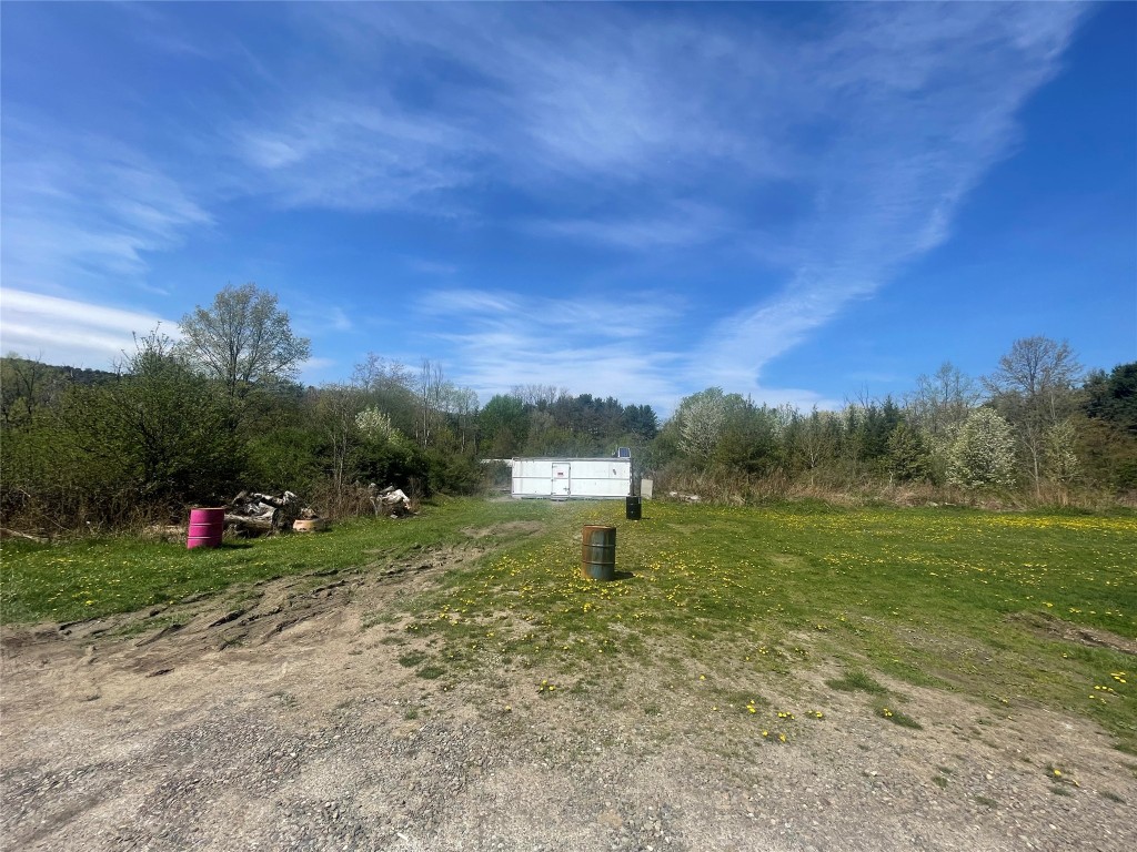 445 Miller Beach Road Owego, NY 13827 - Photo 4 of 11 Gallery Image 4