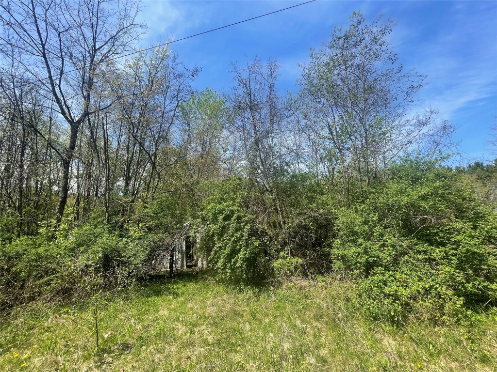 445 Miller Beach Road Owego, NY 13827 - Photo 5 of 11 Gallery Image 5