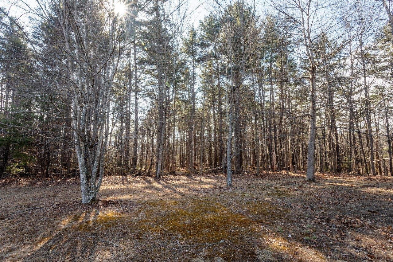 10677 Allman Road Dayton, VA 22821 - Photo 36 of 57 a view of outdoor space with trees