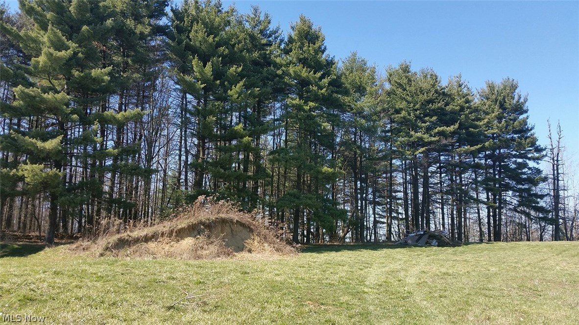 5693 Havers Road Newcomerstown, OH 43832 - Photo 25 of 35 Gallery Image 25
