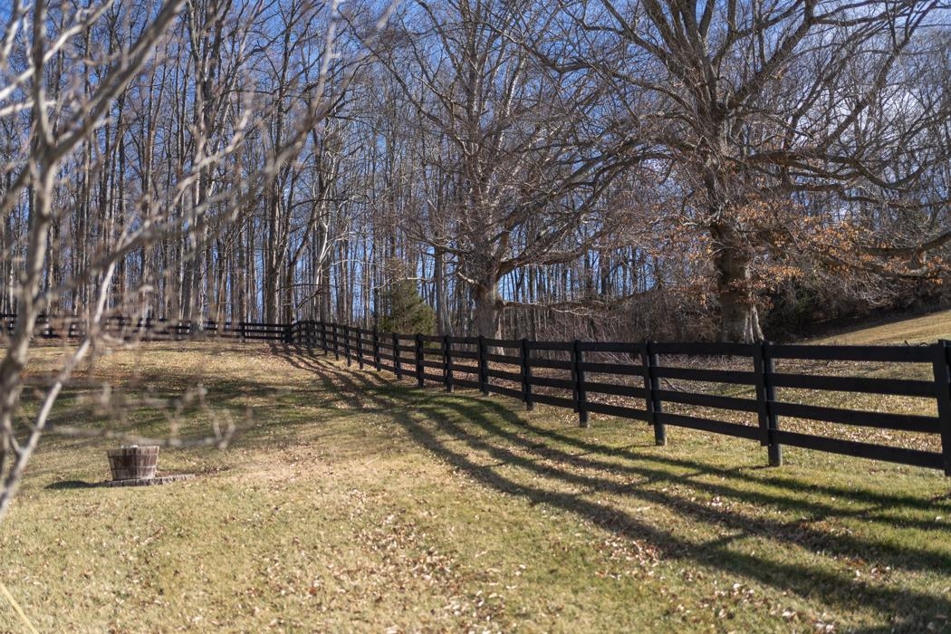 230 Koogler Trail Raphine, VA 24472 - Photo 58 of 61 a view of street with trees