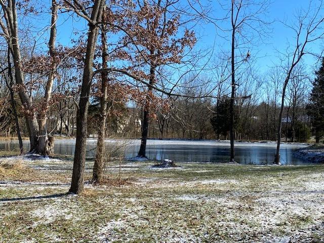 3.7-acres West Foster-Maineville Road Maineville, OH 45039 - Photo 3 of 8