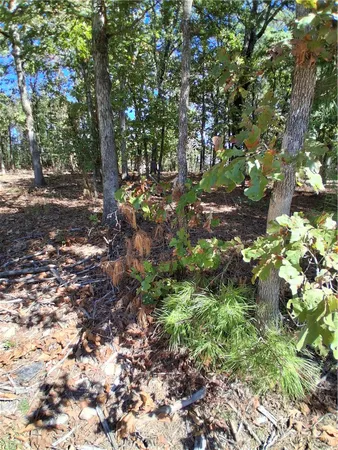 $18,500 | Ayr Drive, Bella Vista, AR 72715