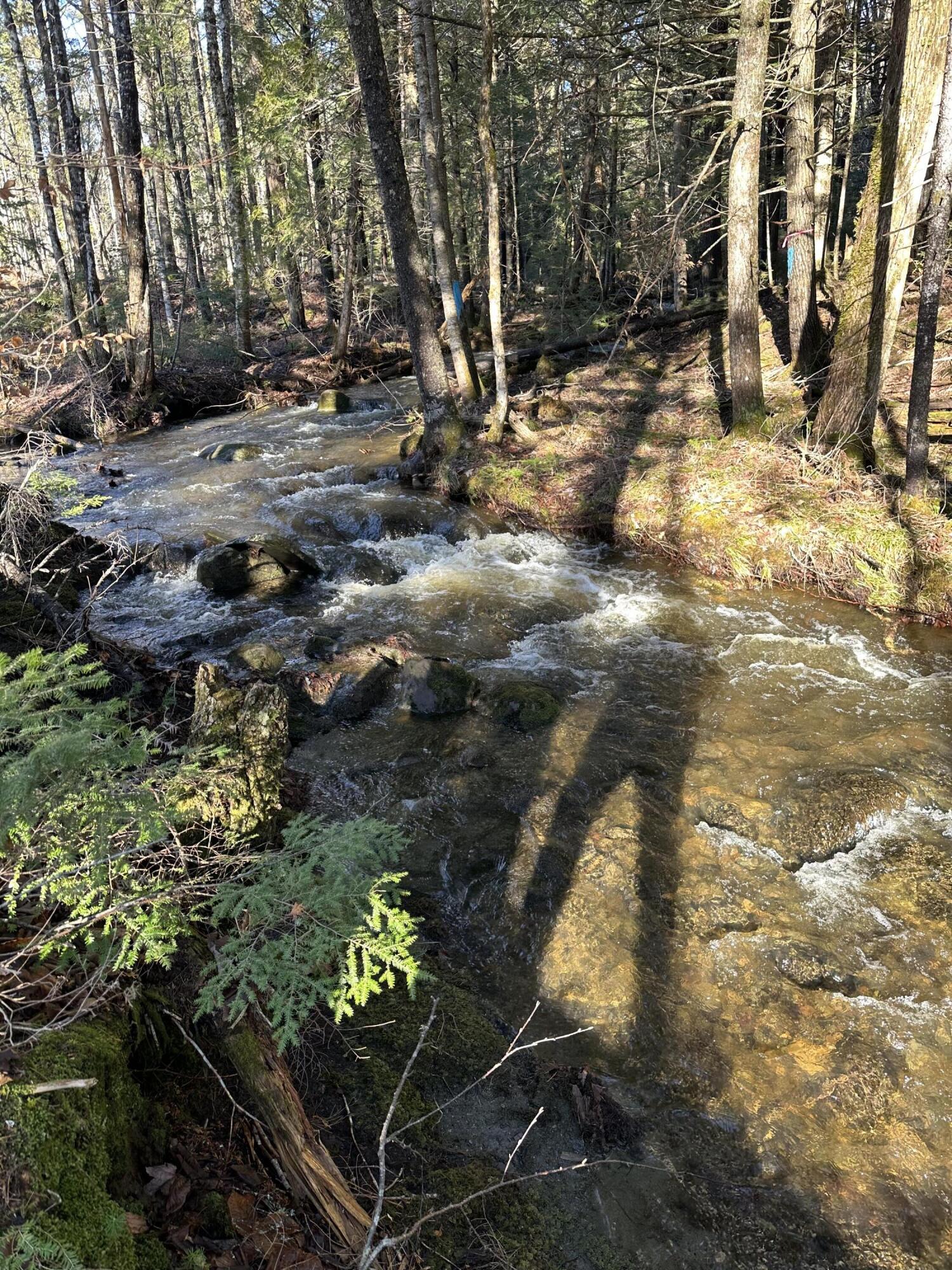 Lot 6 Hammond Brook Road Monson, ME 04464 - Photo 2 of 9 IMG_5719