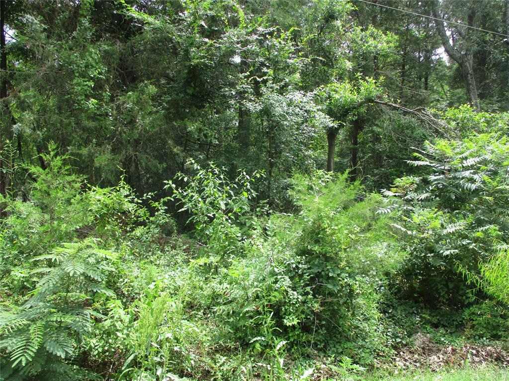 Tbd Robinson Road Emory, TX 75440 - Photo 2 of 7