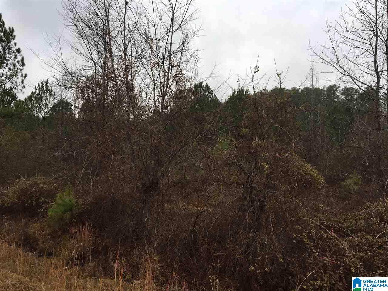 Old Choccolocco Road, Unit 97 Weaver, AL 36277 - Photo 17 of 27